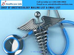 Chief of Anesthesiology Mailing List | Anesthesiology Email List